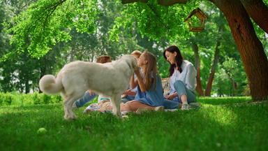 拉布拉多走家庭野餐快乐的狗玩人自然